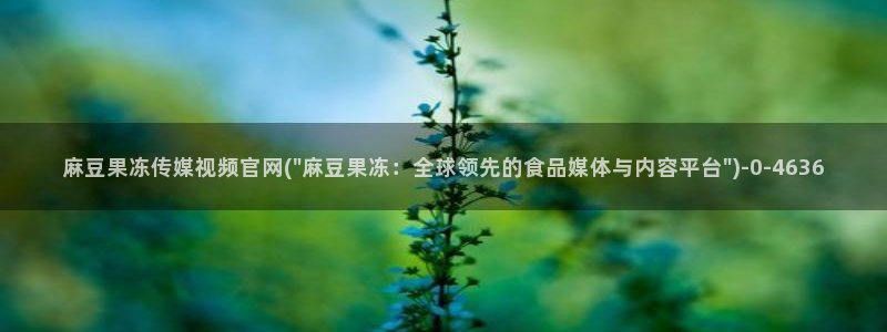 麻豆传媒官网testflight：麻豆果冻传媒视频官网(\