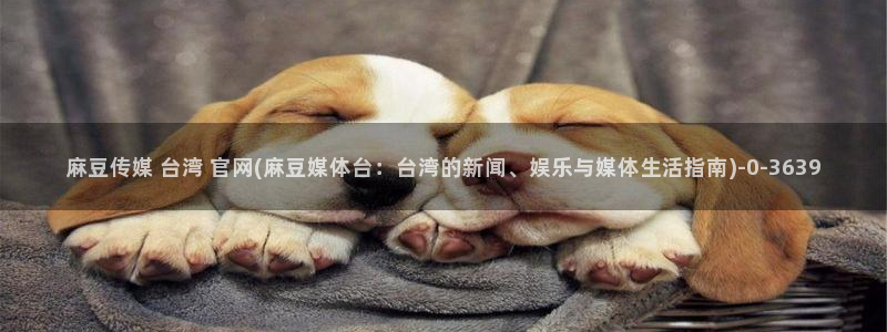 麻豆传媒官网MDSapp下载：麻豆传媒 台湾 官网(麻豆媒体台：台湾的新闻、娱乐与媒体生活指南)