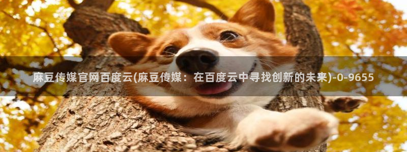 麻豆视传媒 官网入口：麻豆传媒官网百度云(麻豆传媒：在百度云中寻找创新的未来)