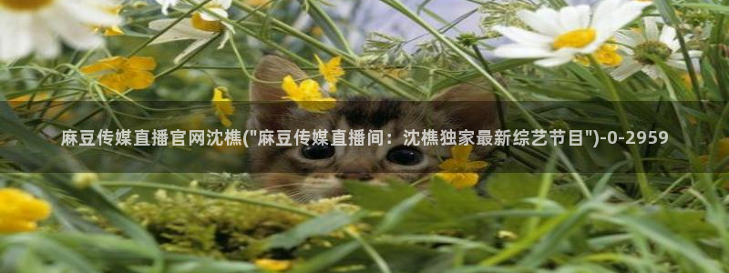 麻豆传媒官网app下载安装：麻豆传媒直播官网沈樵(\