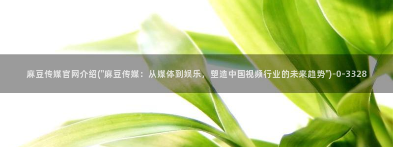 麻豆传媒官网映画：麻豆传媒官网介绍(\