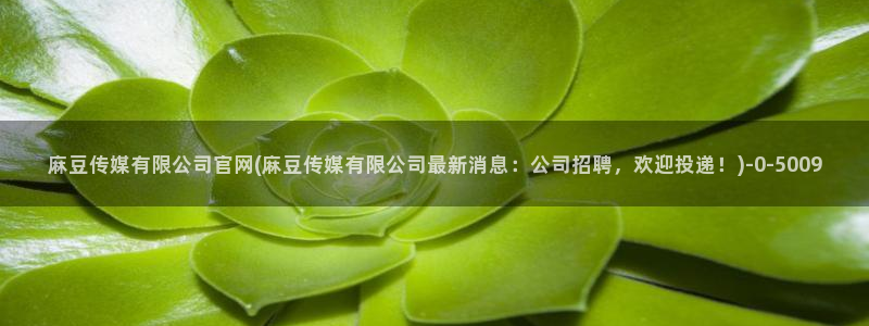 麻豆传媒官网在哪：麻豆传媒有限公司官网(麻豆传媒有限公司最新消息：公司招聘，欢迎投递！)