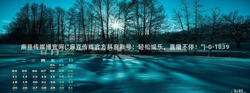 火辣麻豆传媒官网：麻豆传媒播官网(\