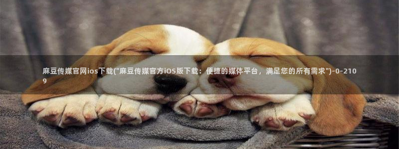 国货之光麻豆传媒官网：麻豆传媒官网ios下载(\