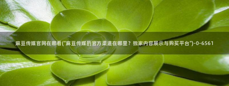 麻豆传媒官网草莓：麻豆传媒官网在哪看(\