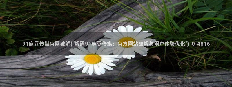 麻豆官网传媒：91麻豆传媒官网破解(\