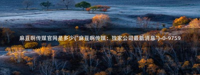 国产剧情麻豆传媒官网：麻豆啊传媒官网是多少(\