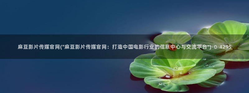 麻豆传媒官网a：麻豆影片传媒官网(\