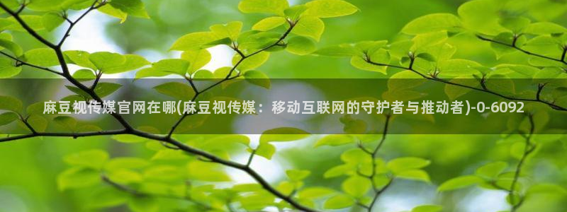 麻豆传媒官网芭乐视频：麻豆视传媒官网在哪(麻豆视传媒：移动互联网的守护者与推动者)