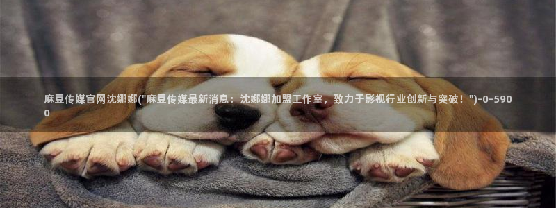 麻豆传媒官网应聘：麻豆传媒官网沈娜娜(\