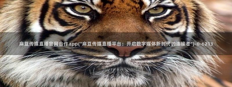 麻豆在传媒官网：麻豆传媒直播官网合作app(\