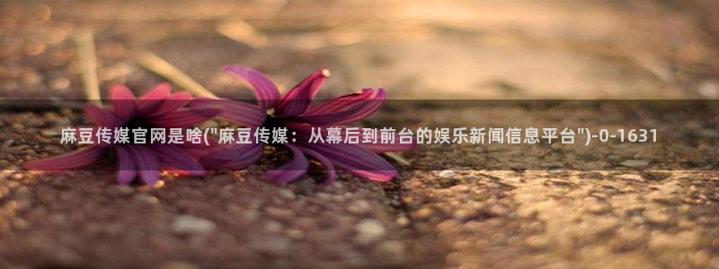麻豆传媒下载官网版：麻豆传媒官网是啥(\