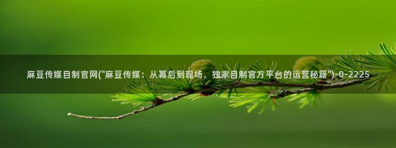 麻豆传媒官网版：麻豆传媒自制官网(\