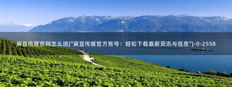 麻豆映画传媒视频官网：麻豆传媒官网怎么进(\