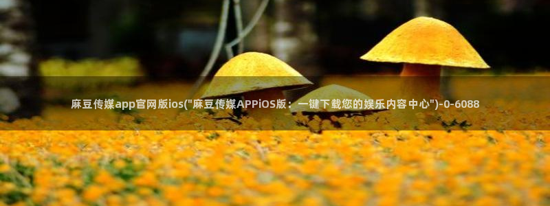 传媒的官网麻豆：麻豆传媒app官网版ios(\