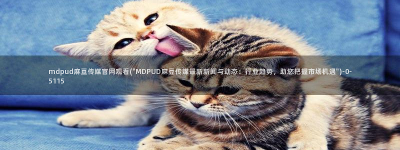 麻豆传媒在线官网入口