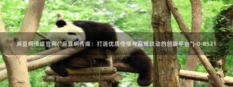 麻豆传媒官网合作app